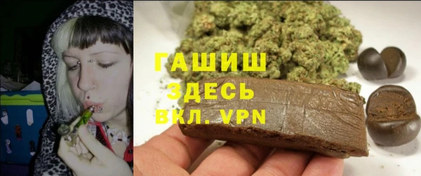 гидра Верхний Тагил