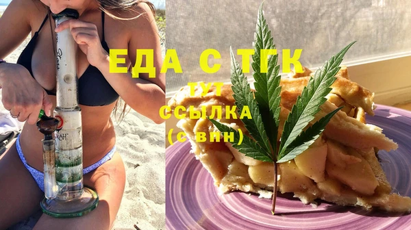 гидра Верхний Тагил