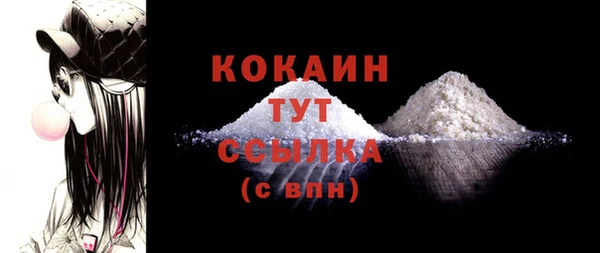 гидра Верхний Тагил