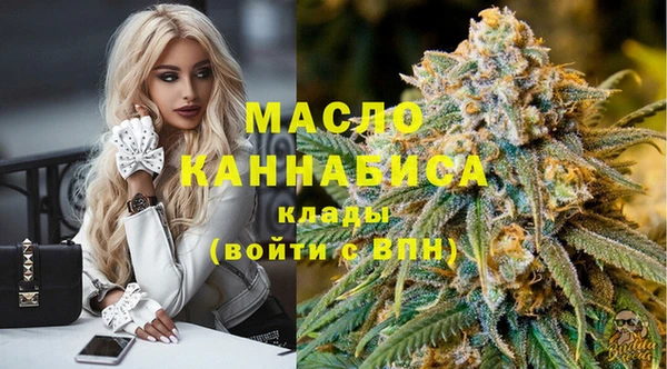 гидра Верхний Тагил