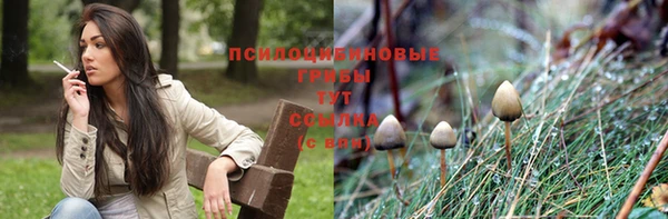 jwh Верея