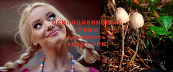 гидра Верхний Тагил