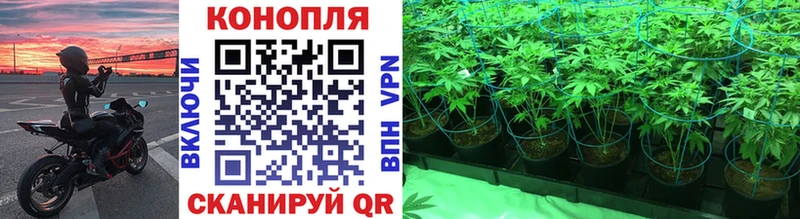 Купить Беломорск Канабис LSD WEED